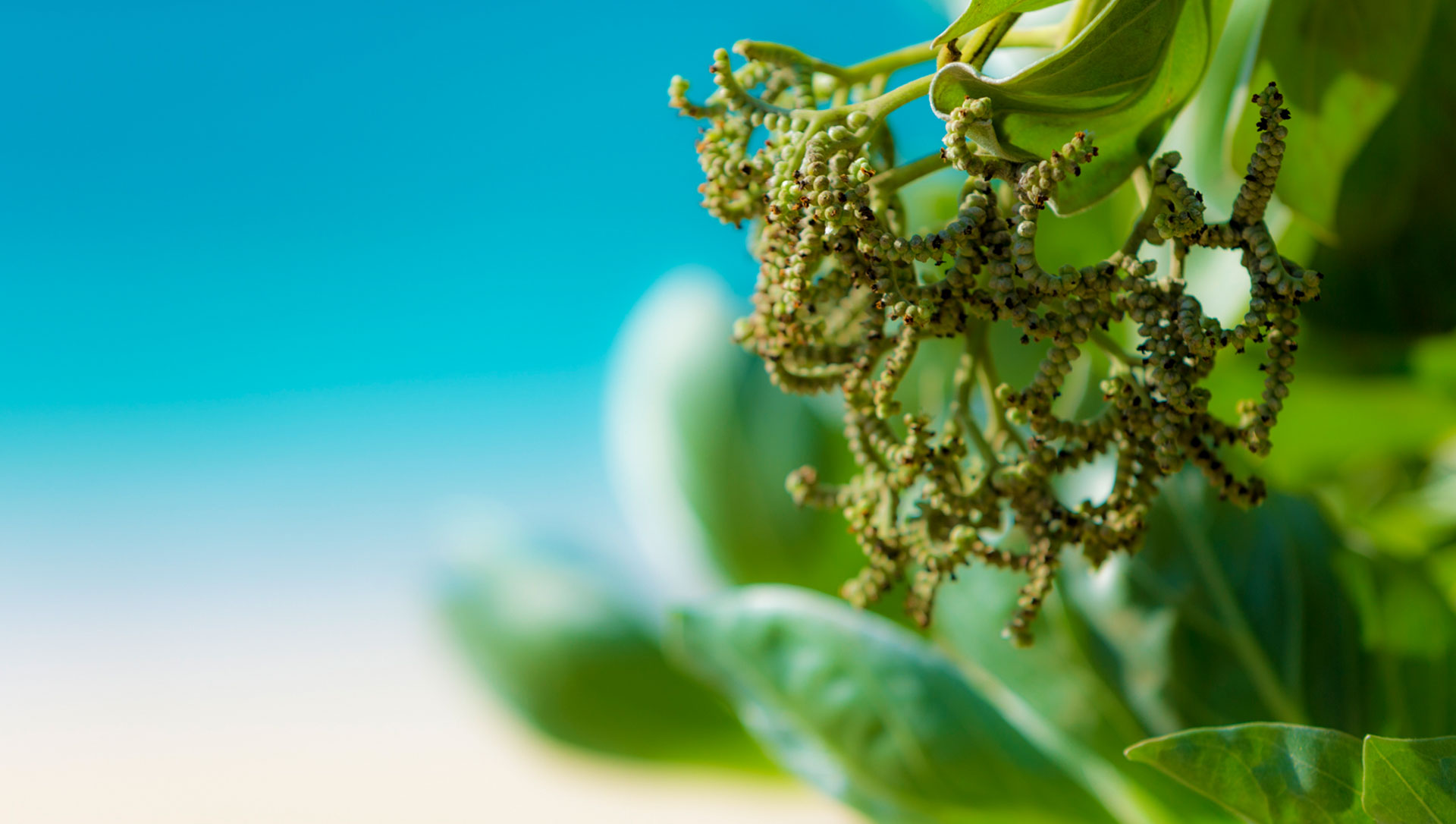 ~Villa Rikyu~ 離宮