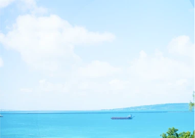 写真：海