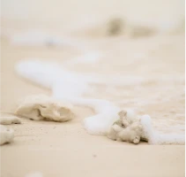 写真：浜辺