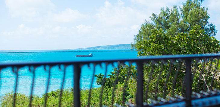 リビングから広がる、自分たちだけの景色。